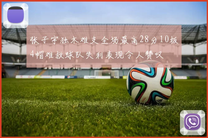 张子宇独木难支全场最高28分10板4帽难救球队失利表现令人赞叹