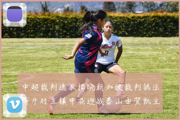 中超裁判选派揭晓新加坡裁判执法海牛对三镇申花迎战泰山由贺凯主哨