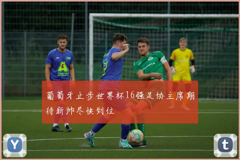葡萄牙止步世界杯16强足协主席期待新帅尽快到位