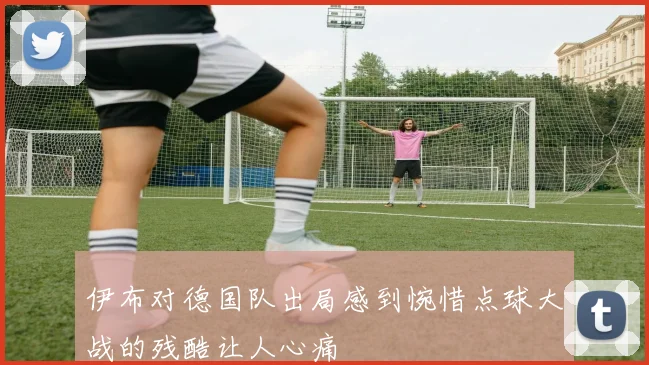 伊布对德国队出局感到惋惜点球大战的残酷让人心痛